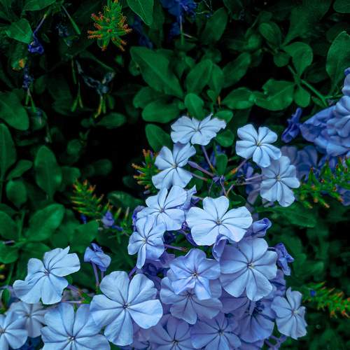 Photo #8224456