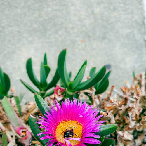 Photo #8224469
