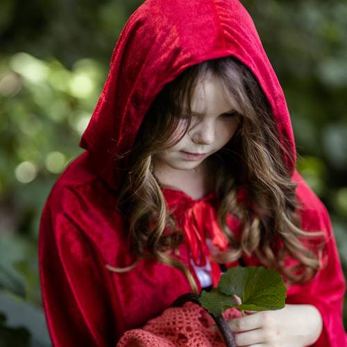 Photo #8224867