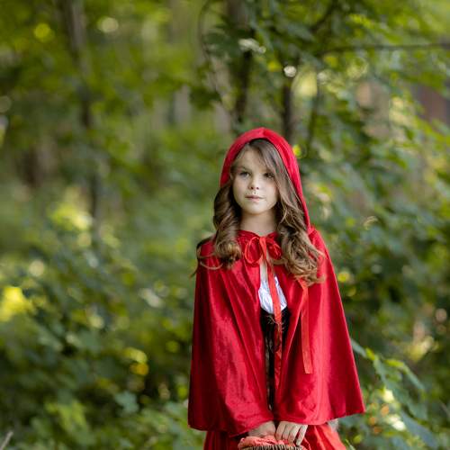 Photo #8224868