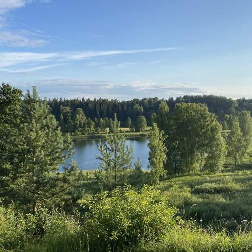 Photo #8225029