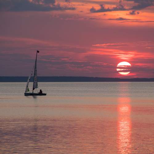 Photo #8225123