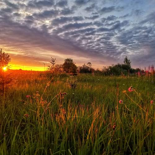 Photo #8225140