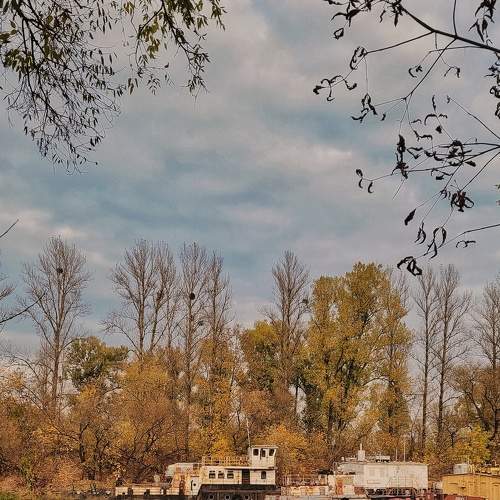 Photo #8225529