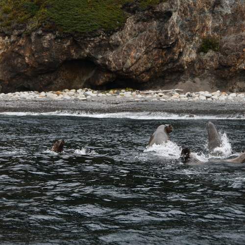 Photo #8225646