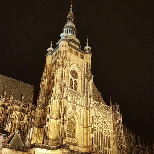 Photo #8225879