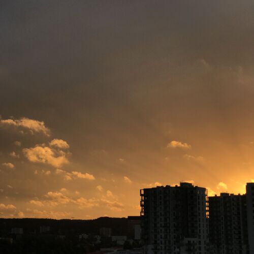 Photo #8226002
