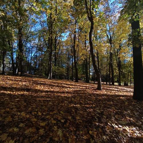 Photo #8226776