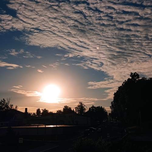 Photo #8226814
