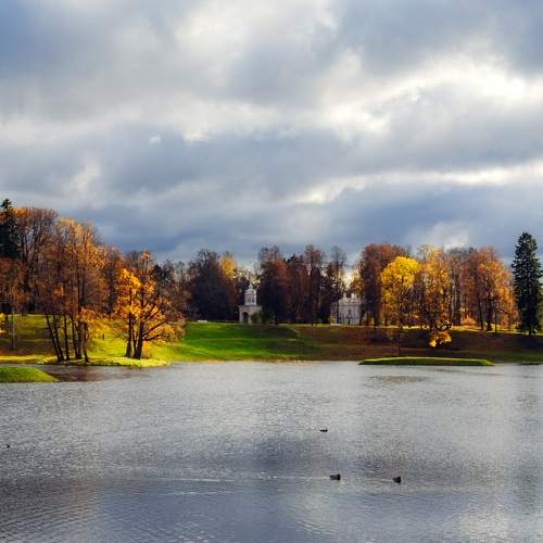 Photo #8226836