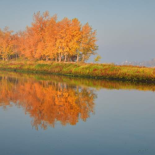 Autumn mirrors
