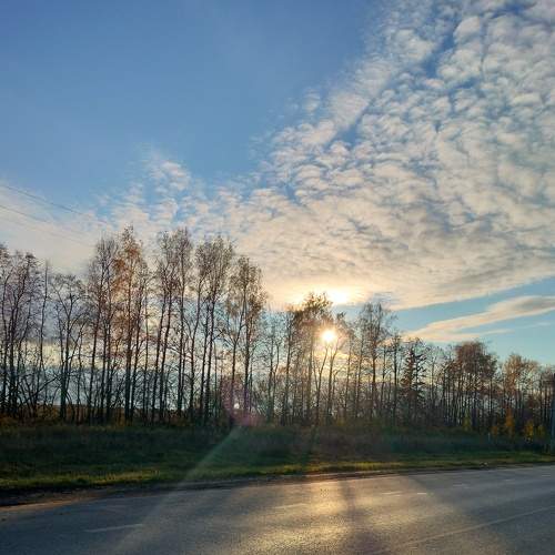 Photo #8227678