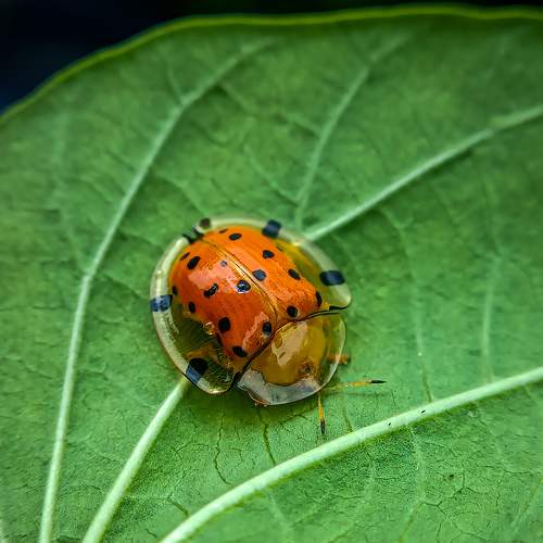 Photo #8228005