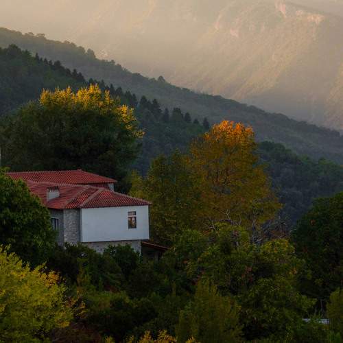 Photo #8228414