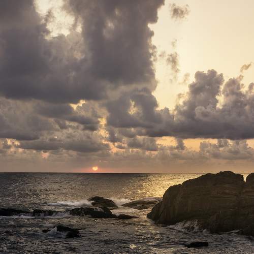 Photo #8228449