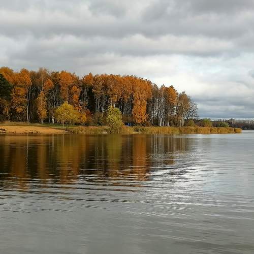 Photo #8228647
