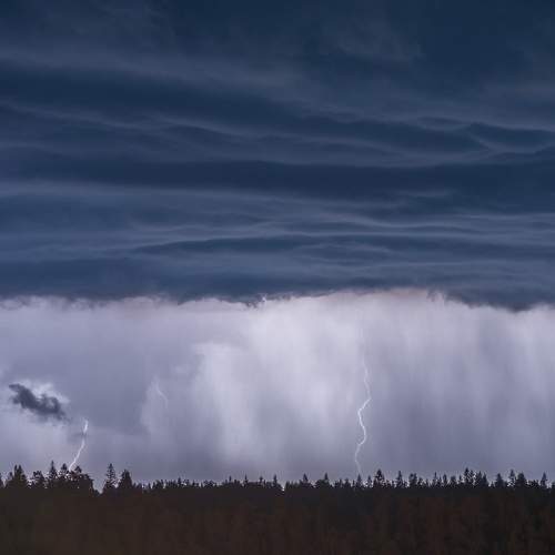 Photo #8228704