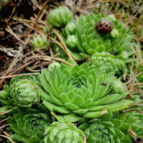 Photo #8228753