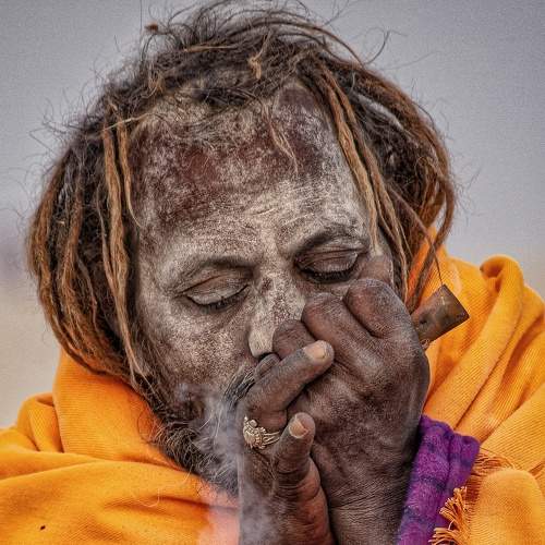 Photo #8228801
