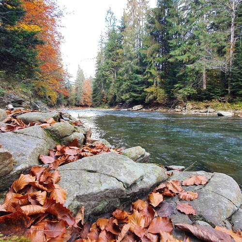 Photo #8229324