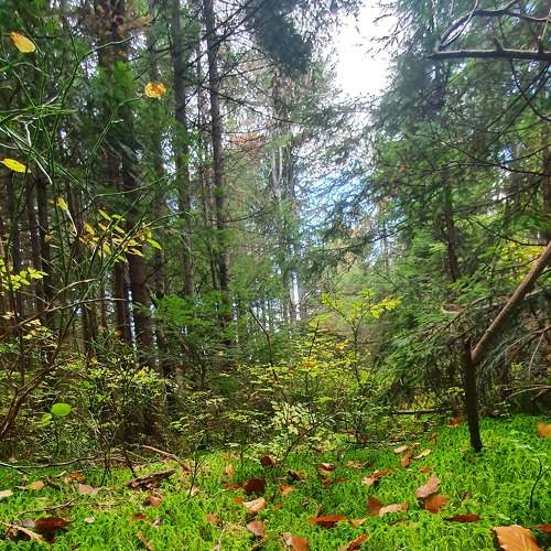 Photo #8229352