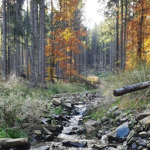 Photo #8229359