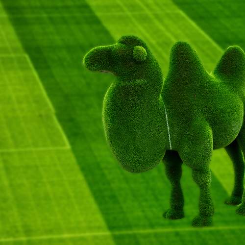 Photo #8229556