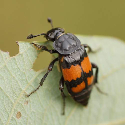 Фотография #8230133