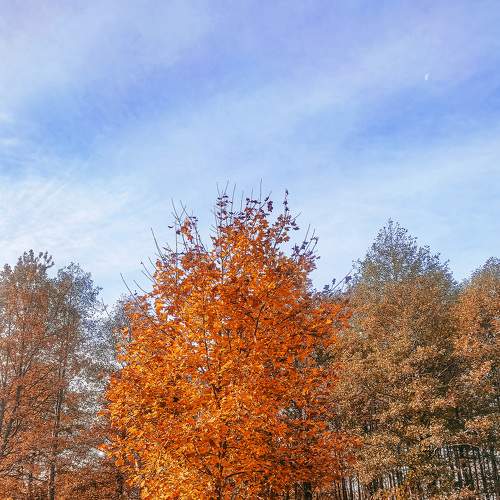 Photo #8230244