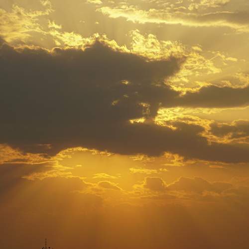 Photo #8230380
