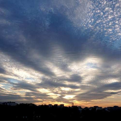 Photo #8230414