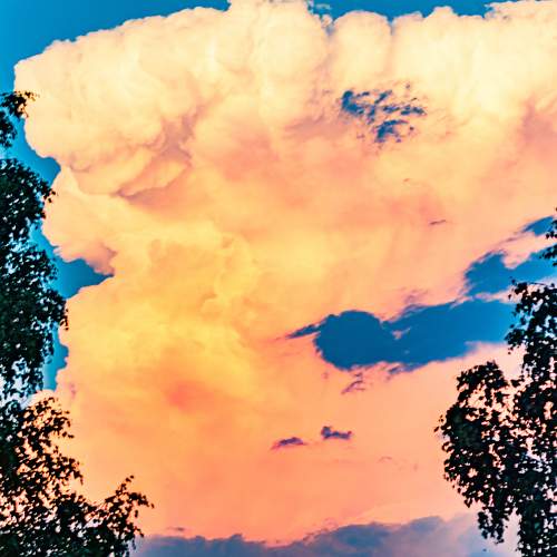 Photo #8230536