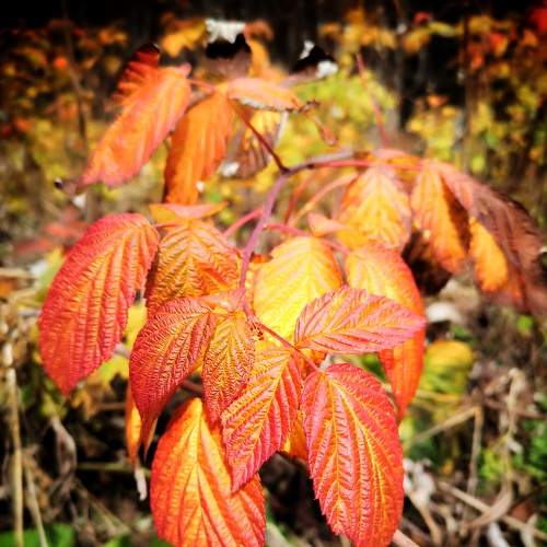 Photo #8230556