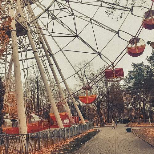 Photo #8230655