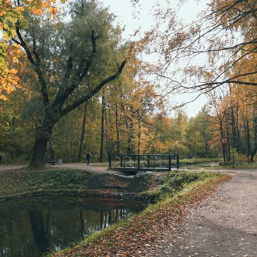 Photo #8230830