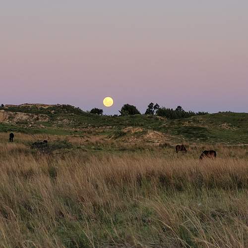 Photo #8230889