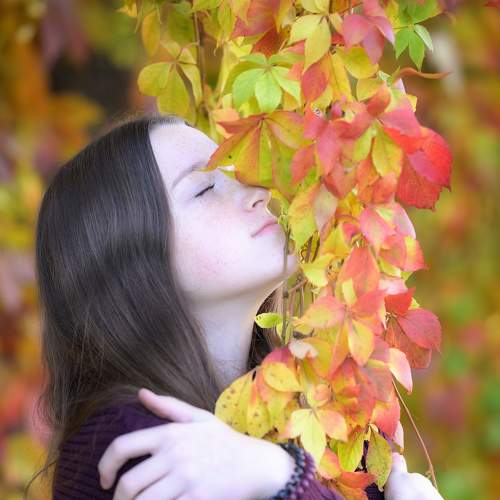 Photo #8231139