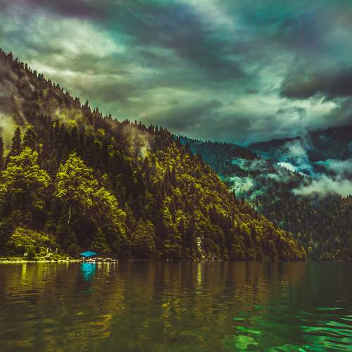 Photo #8231171