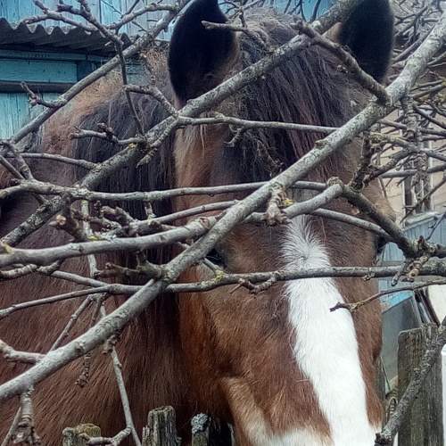 Photo #8231227