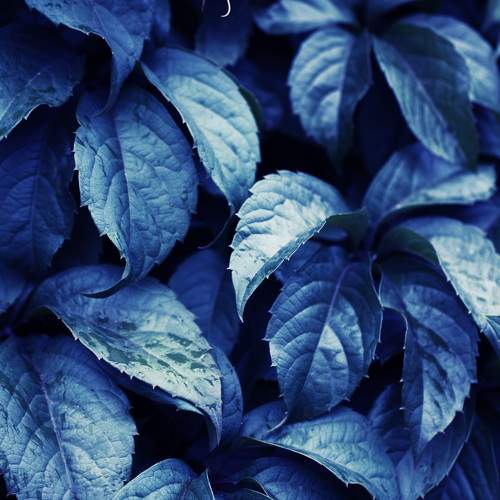 Photo #8231259