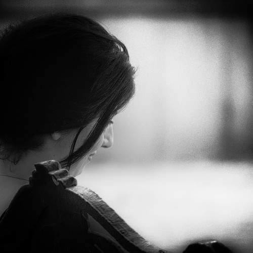 Photo #8231596