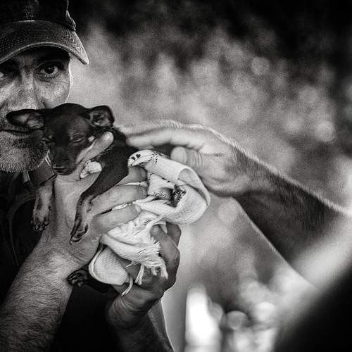 Photo #8231638