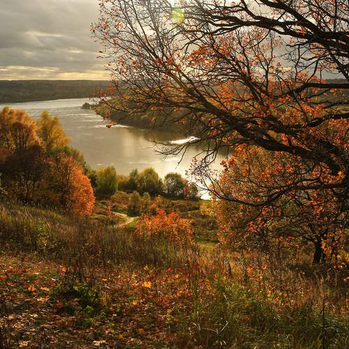 Photo #8231654