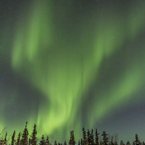 Photo #8231745