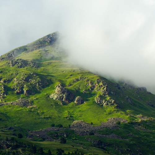Photo #8231896