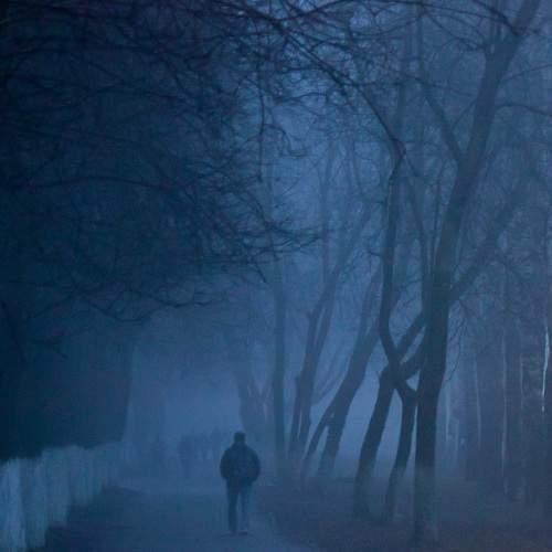 Photo #8233381