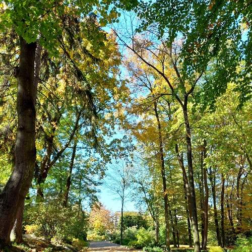 Photo #8233416