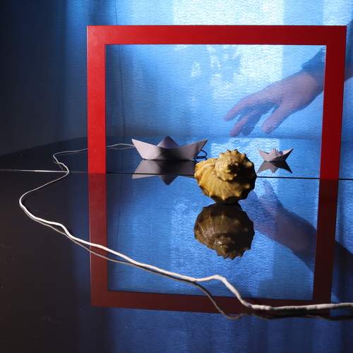 Photo #8233426