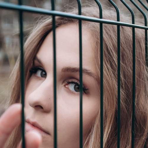 Photo #8233554