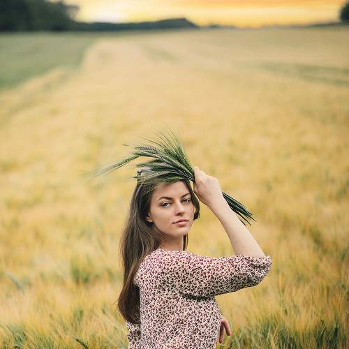 Photo #8233593